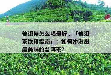 普洱茶怎么喝更好，「普洱茶饮用指南」：如何冲泡出最美味的普洱茶？