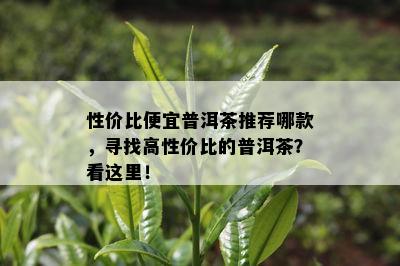 性价比便宜普洱茶推荐哪款，寻找高性价比的普洱茶？看这里！