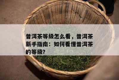 普洱茶等级怎么看，普洱茶新手指南：如何看懂普洱茶的等级？