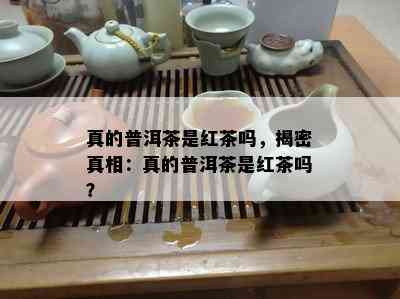 真的普洱茶是红茶吗，揭密真相：真的普洱茶是红茶吗？