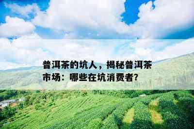 普洱茶的坑人，揭秘普洱茶市场：哪些在坑消费者？