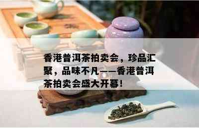 普洱茶拍卖会，珍品汇聚，品味不凡——普洱茶拍卖会盛大开幕！