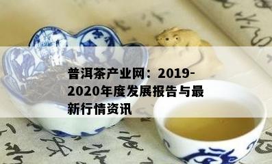 普洱茶产业网：2019-2020年度发展报告与最新行情资讯