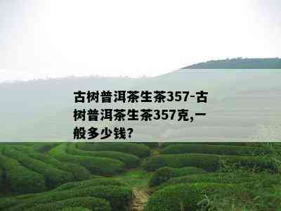 古树普洱茶生茶357-古树普洱茶生茶357克,一般多少钱?