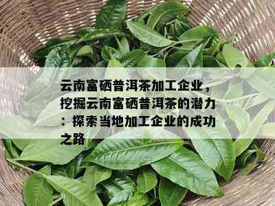 云南富硒普洱茶加工企业，挖掘云南富硒普洱茶的潜力：探索当地加工企业的成功之路