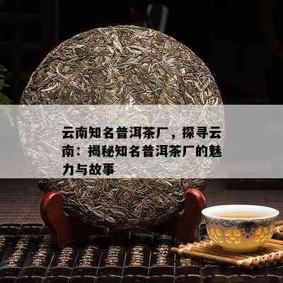 云南知名普洱茶厂，探寻云南：揭秘知名普洱茶厂的魅力与故事