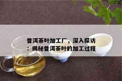 普洱茶叶加工厂，深入探访：揭秘普洱茶叶的加工过程