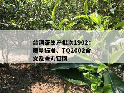 普洱茶生产批次1902：质量标准、TQ2002含义及查询官网