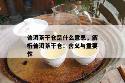 普洱茶干仓是什么意思，解析普洱茶干仓：含义与重要性