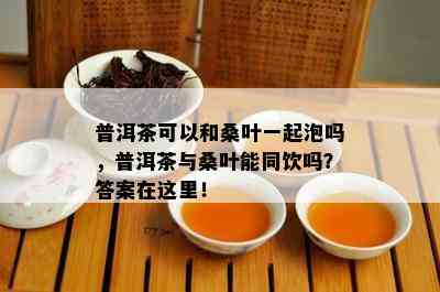 普洱茶可以和桑叶一起泡吗，普洱茶与桑叶能同饮吗？答案在这里！