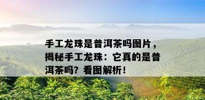 手工龙珠是普洱茶吗图片，揭秘手工龙珠：它真的是普洱茶吗？看图解析！