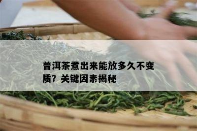 普洱茶煮出来能放多久不变质？关键因素揭秘