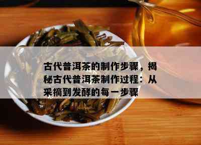 古代普洱茶的制作步骤，揭秘古代普洱茶制作过程：从采摘到发酵的每一步骤