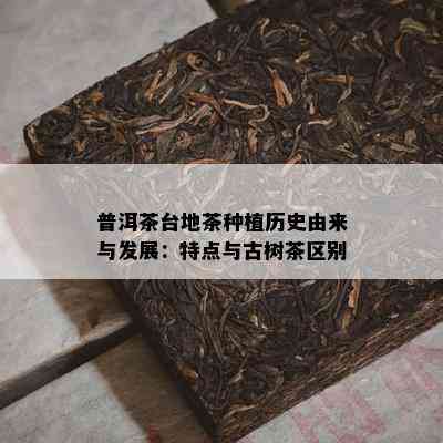 普洱茶台地茶种植历史由来与发展：特点与古树茶区别