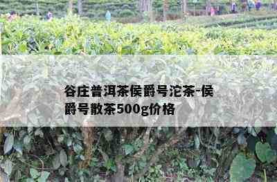 谷庄普洱茶侯爵号沱茶-侯爵号散茶500g价格