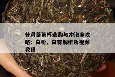 普洱茶茶杯选购与冲泡全攻略：白粉、白雾解析及视频教程