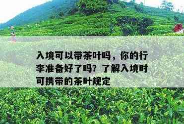 入境可以带茶叶吗，你的行李准备好了吗？了解入境时可携带的茶叶规定