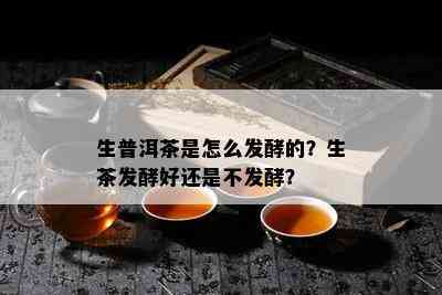 生普洱茶是怎么发酵的？生茶发酵好还是不发酵？