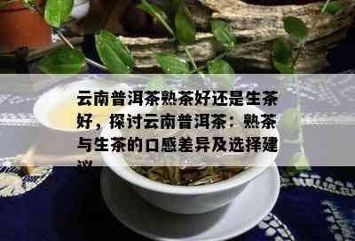 云南普洱茶熟茶好还是生茶好，探讨云南普洱茶：熟茶与生茶的口感差异及选择建议