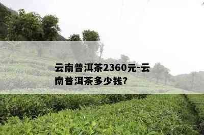 云南普洱茶2360元-云南普洱茶多少钱?