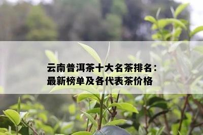 云南普洱茶十大名茶排名：最新榜单及各代表茶价格