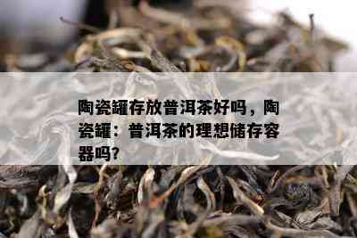 陶瓷罐存放普洱茶好吗，陶瓷罐：普洱茶的理想储存容器吗？