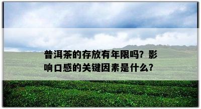 普洱茶的存放有年限吗？影响口感的关键因素是什么？