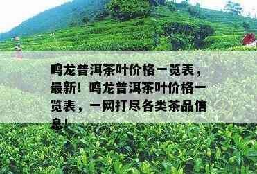 鸣龙普洱茶叶价格一览表，最新！鸣龙普洱茶叶价格一览表，一网打尽各类茶品信息！