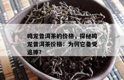 鸣龙普洱茶的价格，探秘鸣龙普洱茶价格：为何它备受追捧？