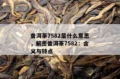 普洱茶7582是什么意思，解密普洱茶7582：含义与特点