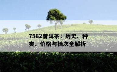 7582普洱茶：历史、种类、价格与档次全解析