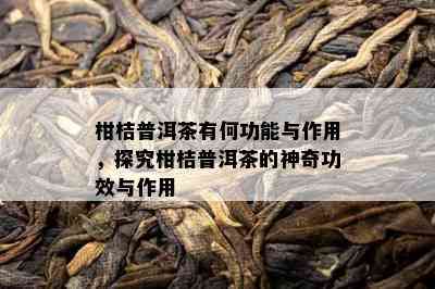 柑桔普洱茶有何功能与作用，探究柑桔普洱茶的神奇功效与作用