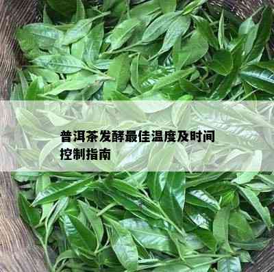 普洱茶发酵更佳温度及时间控制指南