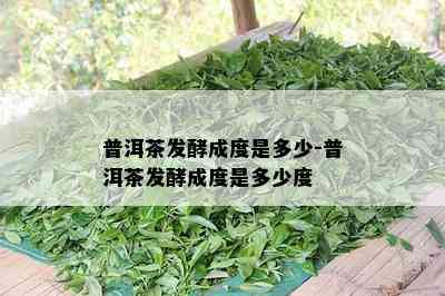 普洱茶发酵成度是多少-普洱茶发酵成度是多少度