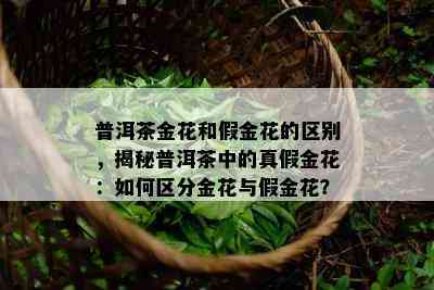 普洱茶金花和假金花的区别，揭秘普洱茶中的真假金花：如何区分金花与假金花？