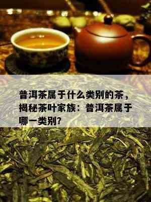 普洱茶属于什么类别的茶，揭秘茶叶家族：普洱茶属于哪一类别？