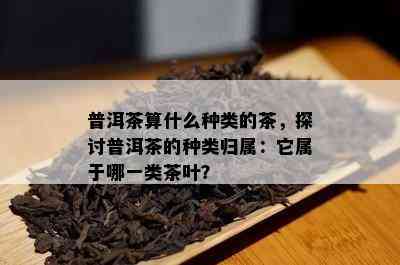 普洱茶算什么种类的茶，探讨普洱茶的种类归属：它属于哪一类茶叶？