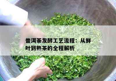 普洱茶发酵工艺流程：从鲜叶到熟茶的全程解析