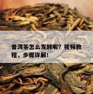 普洱茶怎么发酵呢？视频教程，步骤详解！