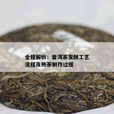 全程解析：普洱茶发酵工艺流程及熟茶制作过程