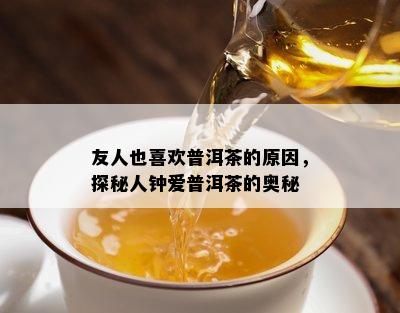 友人也喜欢普洱茶的原因，探秘人钟爱普洱茶的奥秘