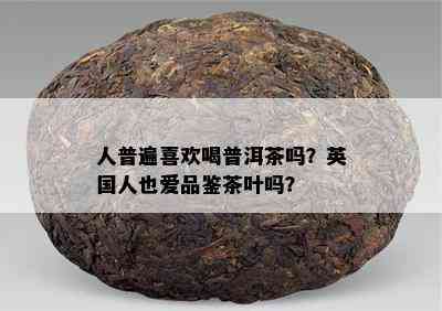 人普遍喜欢喝普洱茶吗？英国人也爱品鉴茶叶吗？