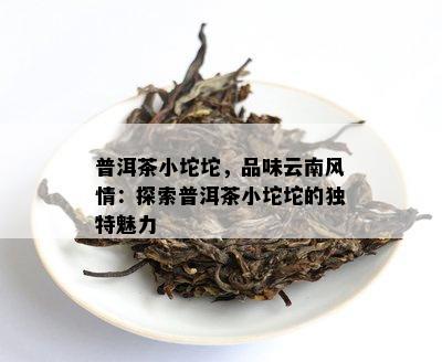 普洱茶小坨坨，品味云南风情：探索普洱茶小坨坨的独特魅力