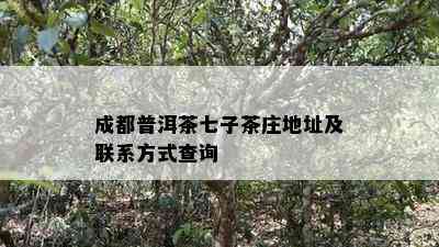 成都普洱茶七子茶庄地址及联系方式查询