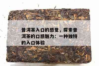 普洱茶入口的感觉，探索普洱茶的口感魅力：一种独特的入口体验