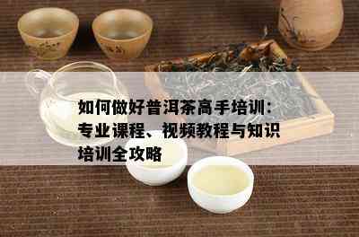 如何做好普洱茶高手培训：专业课程、视频教程与知识培训全攻略