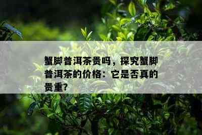 蟹脚普洱茶贵吗，探究蟹脚普洱茶的价格：它是否真的贵重？