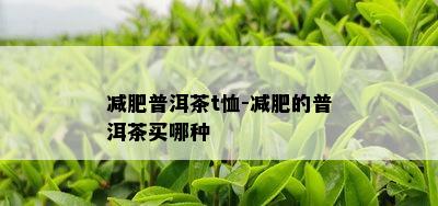 减肥普洱茶t恤-减肥的普洱茶买哪种