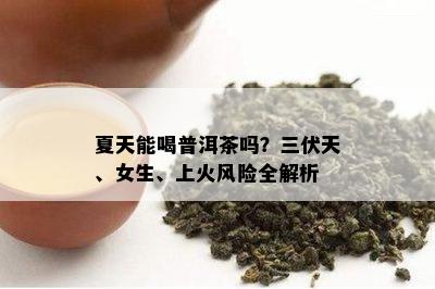 夏天能喝普洱茶吗？三伏天、女生、上火风险全解析