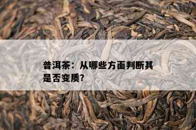 普洱茶：从哪些方面判断其是否变质？